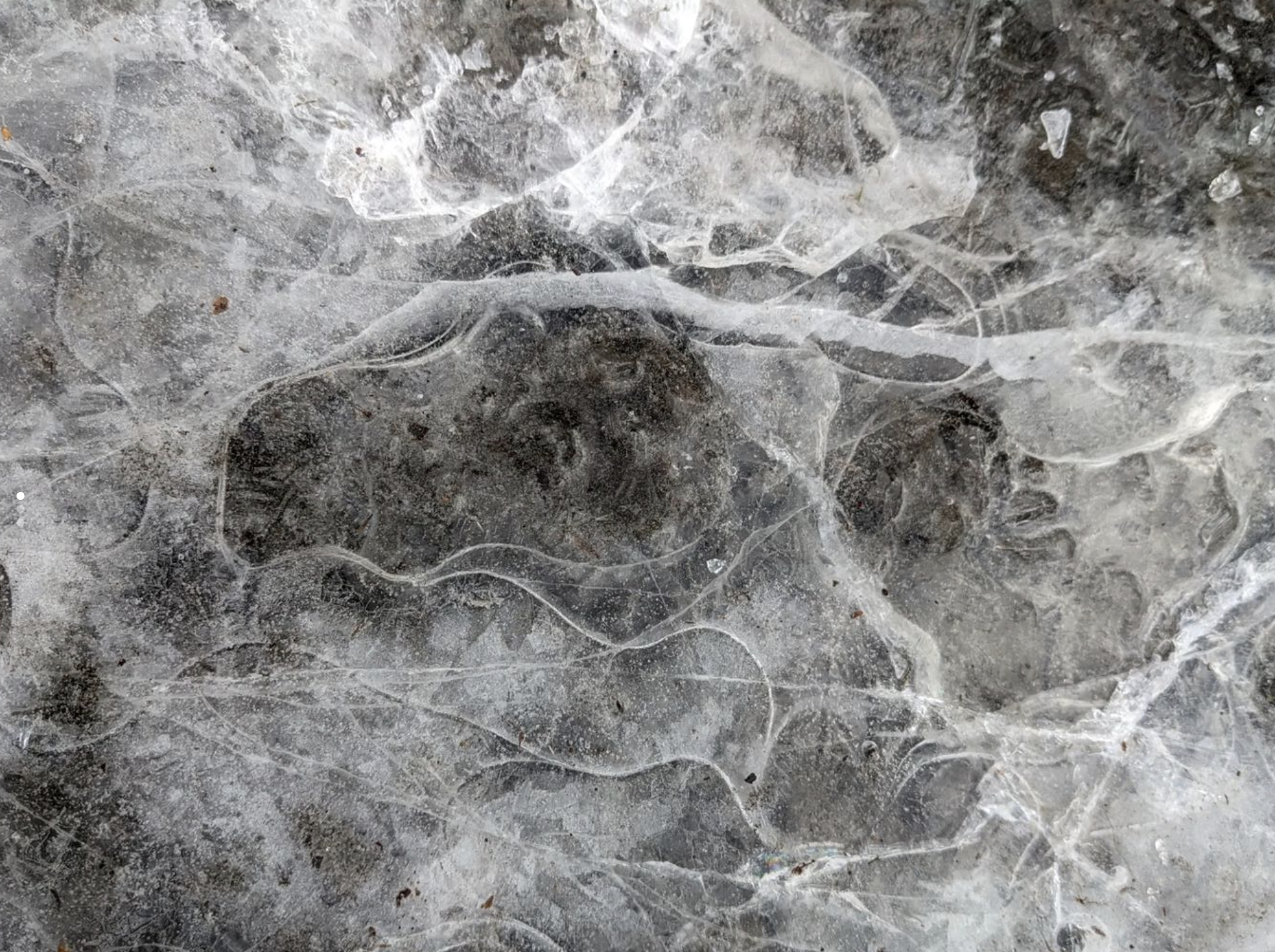 Photograph taken by artist Alex Gardner of inspiring textures of ice.